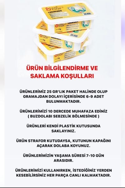 Live Bait Canlı Çin Kurdu 1 paket