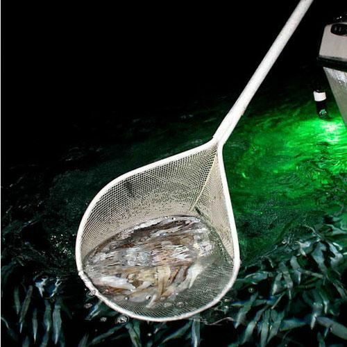 Hydro Glow 125cm kalamar ışığı No:3